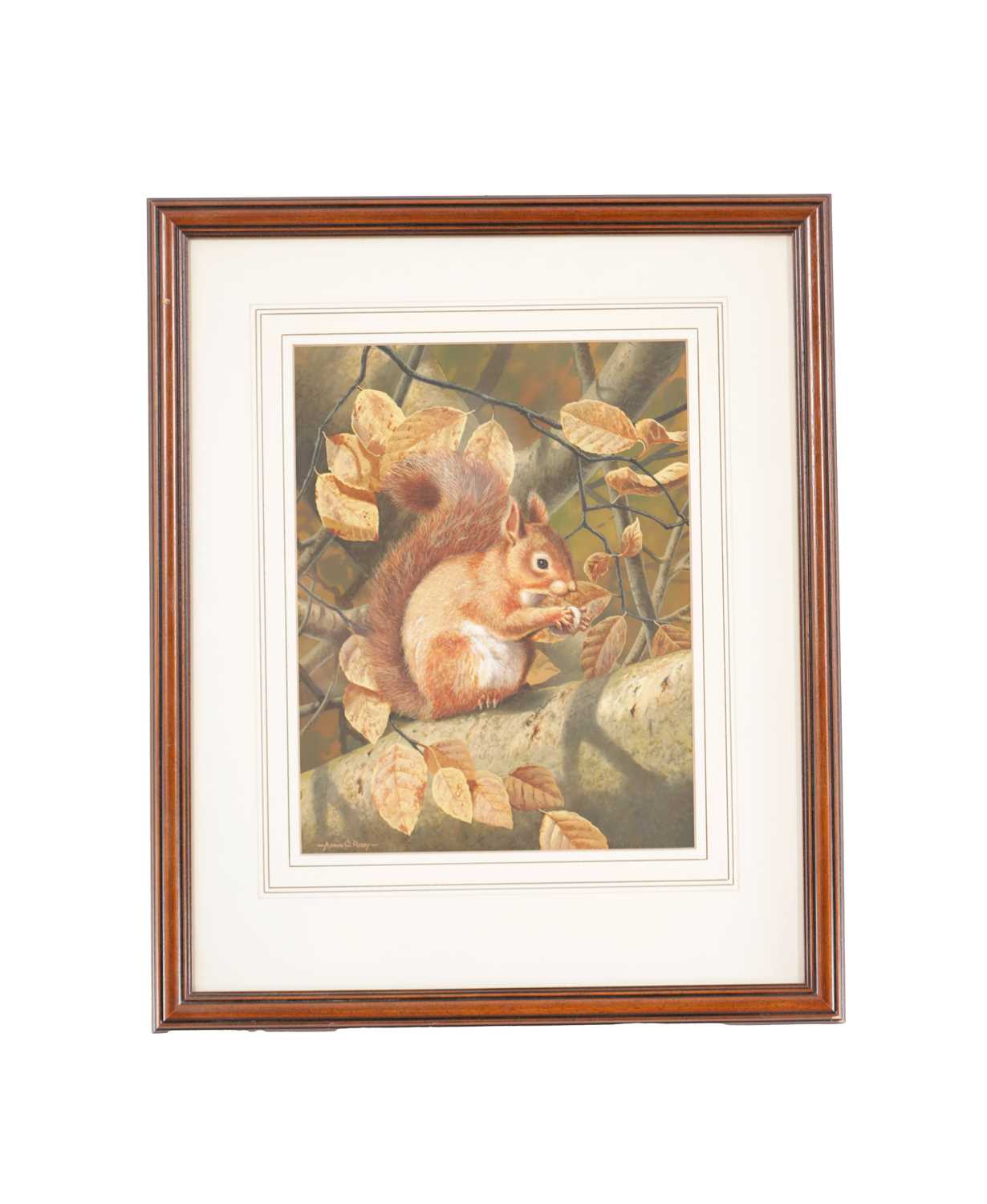 Lot 321 - ABRIAN C RIGBY. WATERCOLOUR OF A SQUIRREL