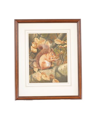Lot 321 - ABRIAN C RIGBY. WATERCOLOUR OF A SQUIRREL