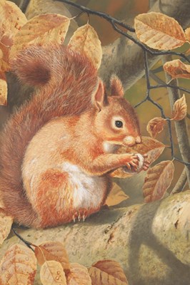 Lot 321 - ABRIAN C RIGBY. WATERCOLOUR OF A SQUIRREL