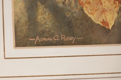 Lot 321 - ABRIAN C RIGBY. WATERCOLOUR OF A SQUIRREL