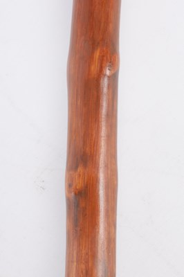 Lot 48 - AN ORIENTAL 19TH CENTURY CARVED WOOD WALKING STICK