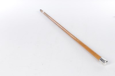 Lot 802 - TWO EARLY 20TH CENTURY MALACCA WALKING STICKS