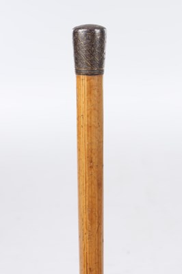 Lot 802 - TWO EARLY 20TH CENTURY MALACCA WALKING STICKS