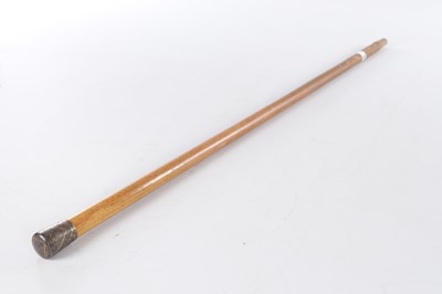 Lot 802 - TWO EARLY 20TH CENTURY MALACCA WALKING STICKS