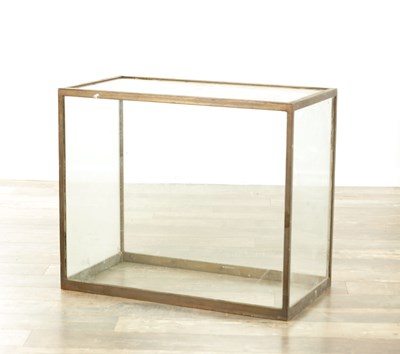 Lot 514 - A 19TH CENTURY BRONZE TABLE TOP COUNTER DISPLAY CABINET
