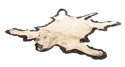 Lot 586 - AN EARLY 20TH CENTURY TAXIDERMY YOUNG MALE LION RUG