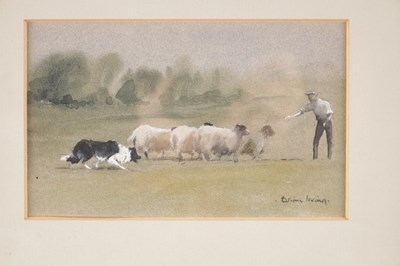 Lot 871 - BRIAN IRVING (1931-2013) A PENCIL AND WATERCOLOUR