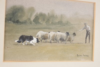Lot 871 - BRIAN IRVING (1931-2013) A PENCIL AND WATERCOLOUR