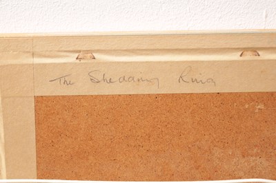 Lot 871 - BRIAN IRVING (1931-2013) A PENCIL AND WATERCOLOUR