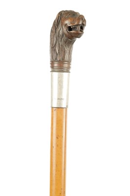 Lot 795 - AN EARLY 20TH CENTURY SILVER MOUNTED WALKING STICK WITH CARVED LION HEAD HANDLE