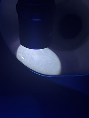 Lot 33 - A FULL SET OF ELEVEN WILKINSON CHARACTER JUGS, DESIGNED BY SIR FRANCIS CARRUTHERS GOULD