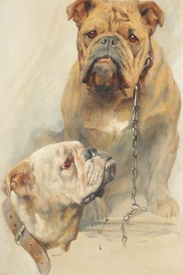 Lot ARTHUR WARDLE (1864 - 1949) A RARE LATE 19TH / EARLY 20TH CENTURY OIL ON CANVAS A PORTRAIT OF TWO BULLDOGS