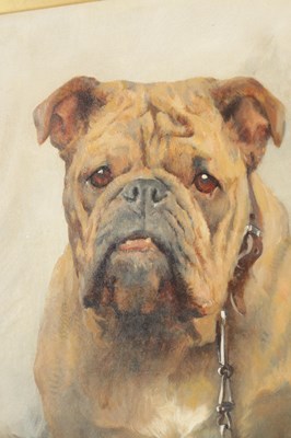 Lot ARTHUR WARDLE (1864 - 1949) A RARE LATE 19TH / EARLY 20TH CENTURY OIL ON CANVAS A PORTRAIT OF TWO BULLDOGS