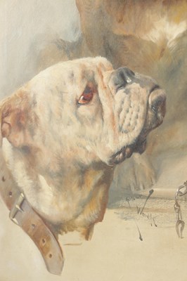 Lot ARTHUR WARDLE (1864 - 1949) A RARE LATE 19TH / EARLY 20TH CENTURY OIL ON CANVAS A PORTRAIT OF TWO BULLDOGS