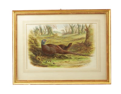 Lot HARRY BRIGHT (1846 - 1895) A LATE 19TH CENTURY WATERCOLOUR DEPICTING A WOODLAND SCENE