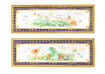Lot A PAIR OF 19TH CENTURY FRENCH ORMOLU FRAMED ENAMEL PLAQUES
