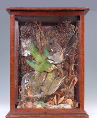 Lot 635 - A LATE 19th CENTURY CASED TAXIDERMY DISPLAY of...