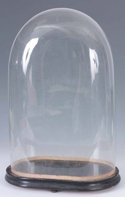 Lot 803 - A 19th CENTURY OVAL GLASS DOME ON EBONISED...