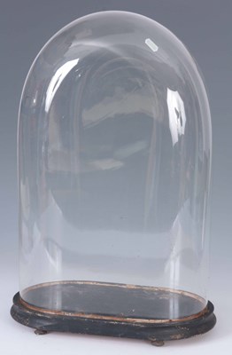 Lot 804 - A 19th CENTURY OVAL GLASS DOME ON EBONISED...