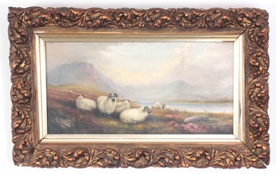 Lot 384 - J. BROOKS. 19th CENTURY OIL ON CANVAS. Sheep...