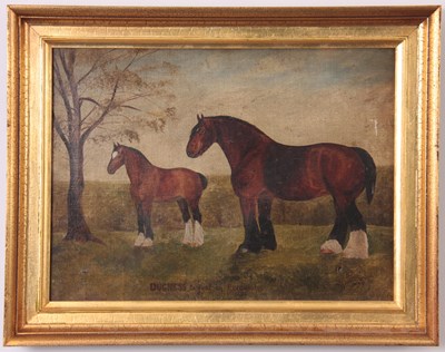 Lot 682 - A 19TH CENTURY OIL ON CANVAS study of a horse...