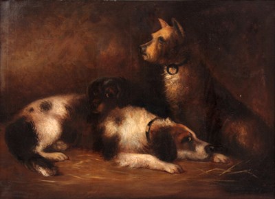 Lot 686 - A LARGE 19TH CENTURY OIL ON CANVAS Three dogs...