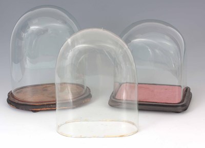 Lot 747 - THREE VICTORIAN GLASS DOMES 23cm wide 25cm...