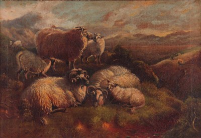 Lot 340 - OIL ON CANVAS. Sheep resting on a heather...